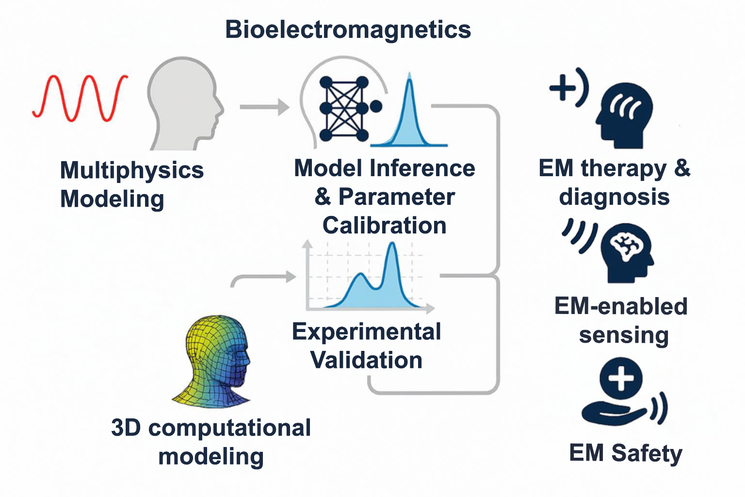 Bioelectromagnetic model